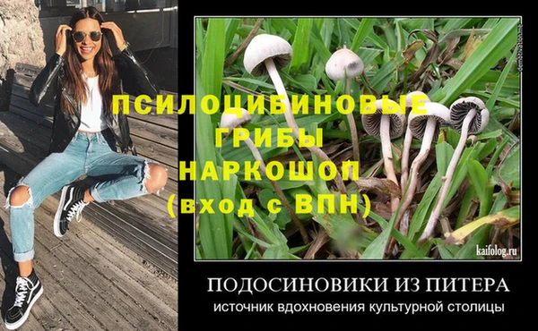 дживик Белоозёрский