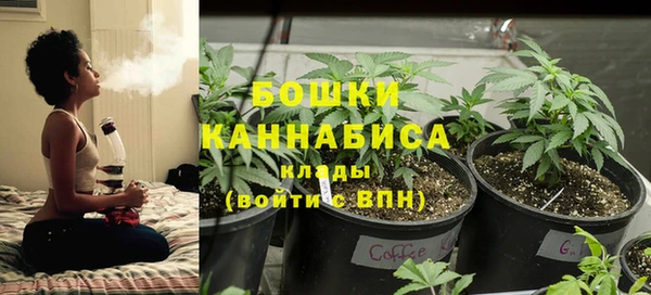 спайс Белокуриха