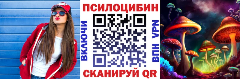 Псилоцибиновые грибы MAGIC MUSHROOMS  MEGA рабочий сайт  Мглин 